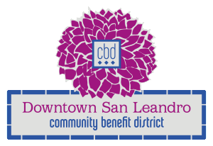 DSL-CBD_logo
