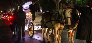It's a Wonderful Night horse carriage