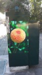 “Root Park Dahlias” By Ananda Weigand at Hays St. & East 14th St. 